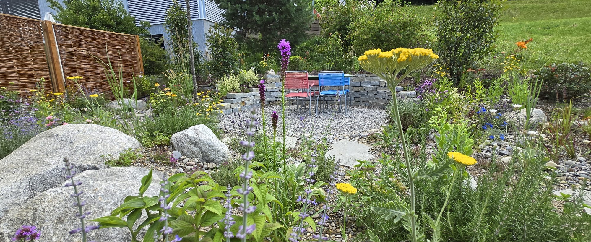 Ein grüner Rasen vor einer hohen Hecke mit Häusern und Hügeln im Hintergrund