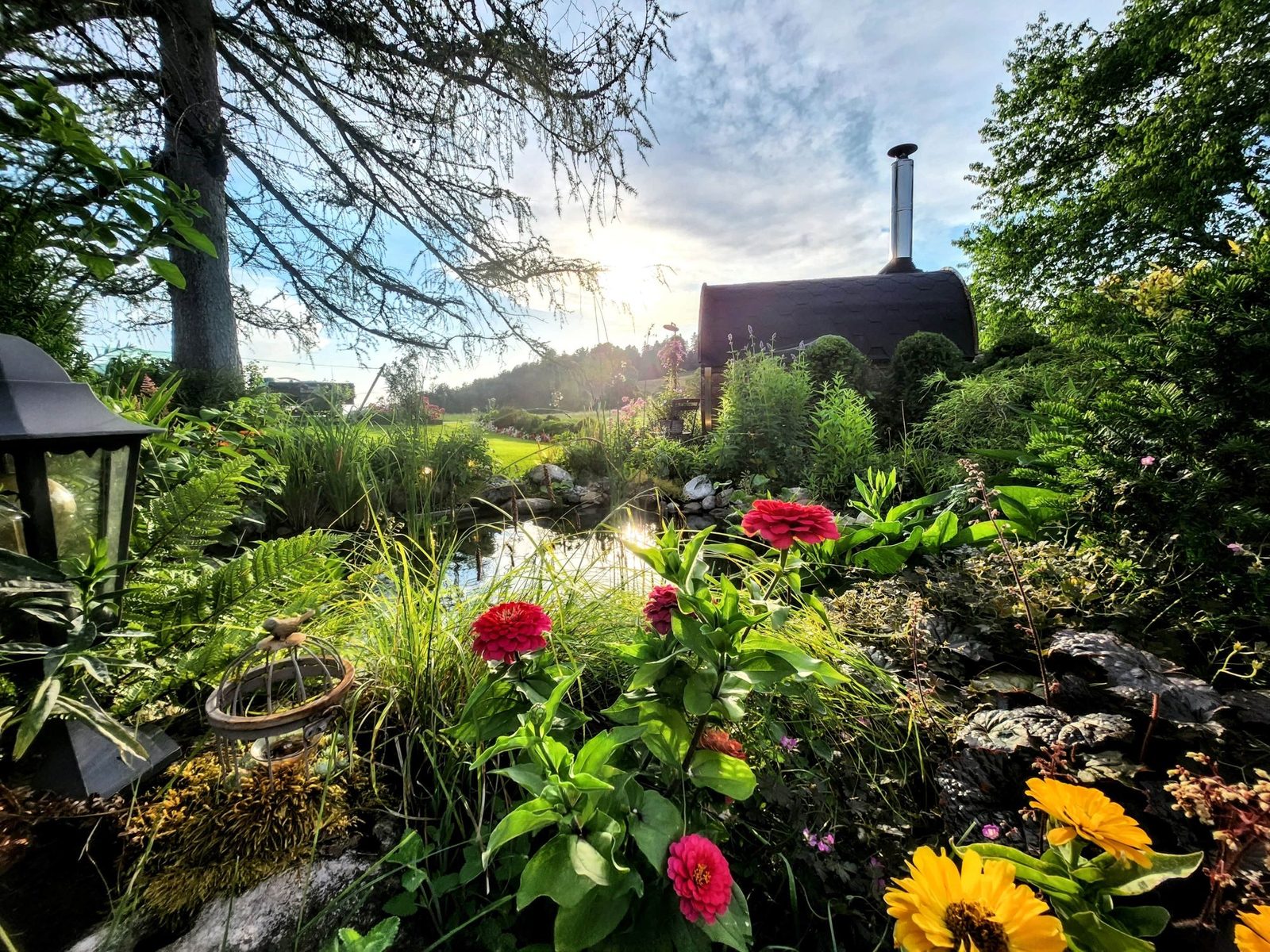 Ein kleiner Gartenteich umgeben von Pflanzen