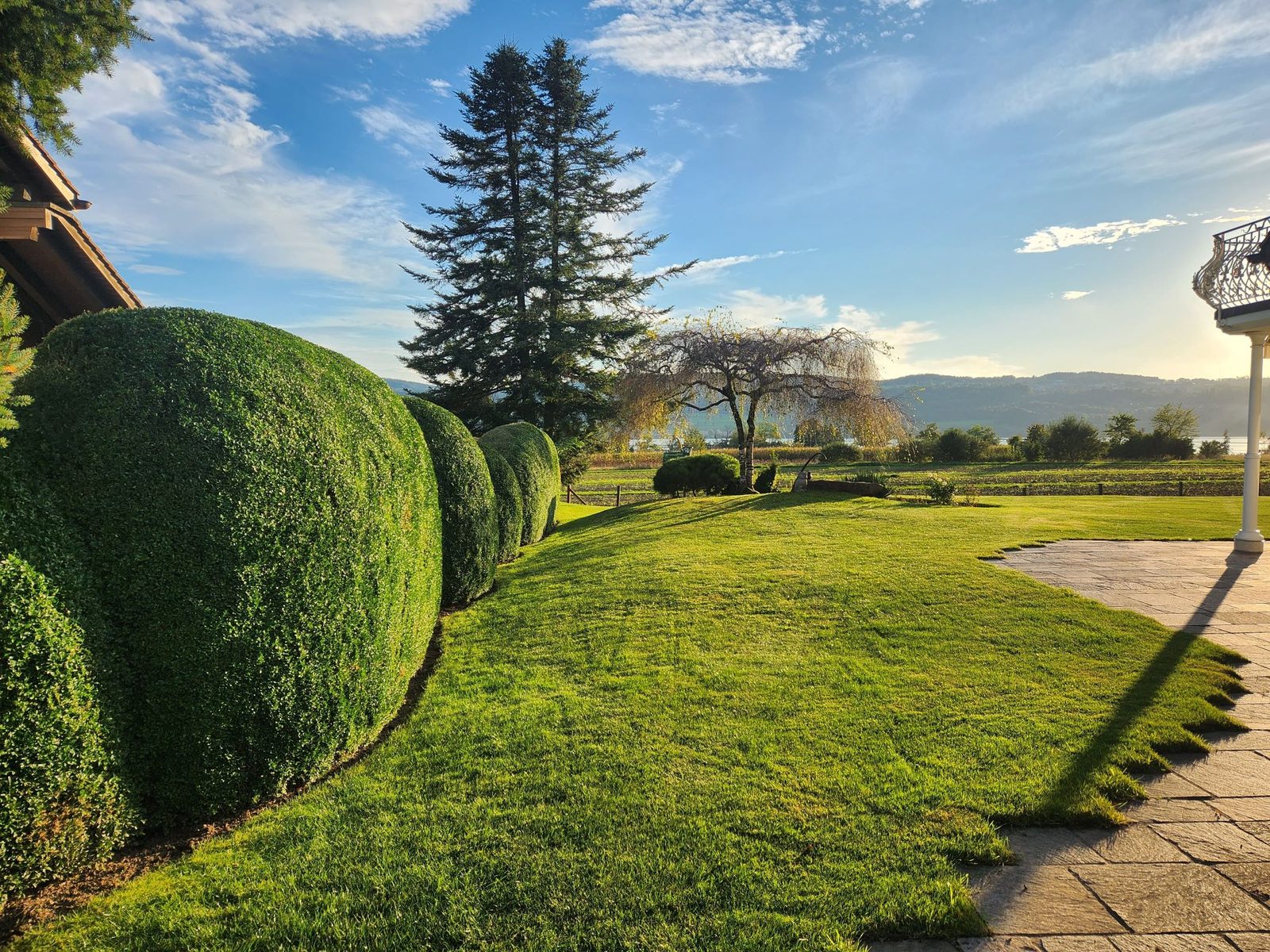 Ein Rasen und Büsche vor einem See und Bergen