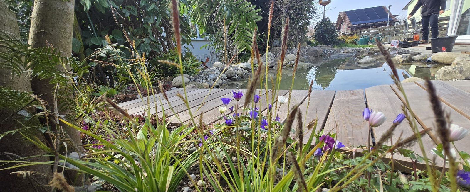 NK Gärten Teichanlage
